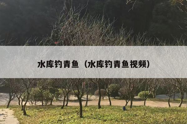 水库钓青鱼（水库钓青鱼视频）