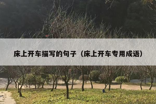 床上开车描写的句子（床上开车专用成语）