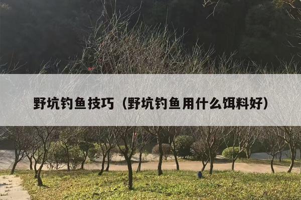 野坑钓鱼技巧（野坑钓鱼用什么饵料好）