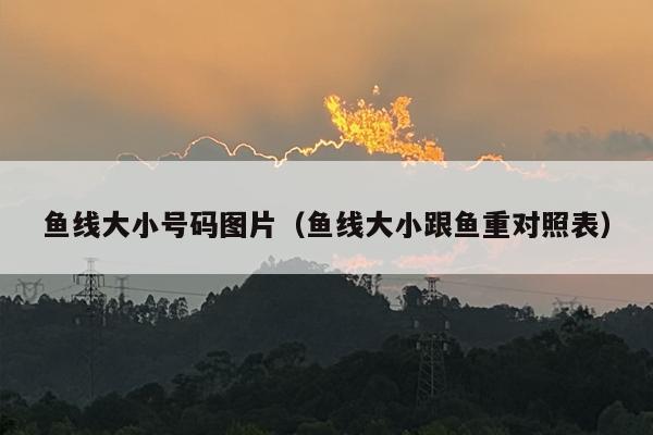 鱼线大小号码图片（鱼线大小跟鱼重对照表）
