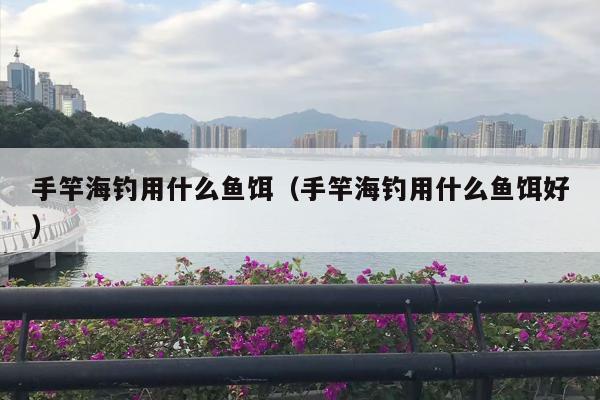 手竿海钓用什么鱼饵（手竿海钓用什么鱼饵好）