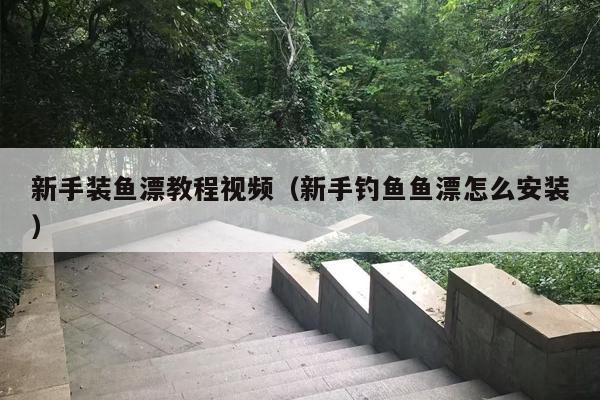新手装鱼漂教程视频（新手钓鱼鱼漂怎么安装）