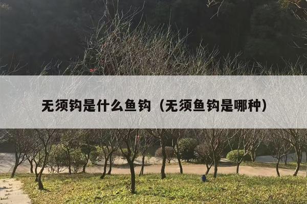 无须钩是什么鱼钩（无须鱼钩是哪种）
