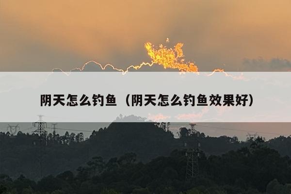 阴天怎么钓鱼（阴天怎么钓鱼效果好）