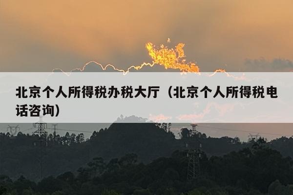北京个人所得税办税大厅（北京个人所得税电话咨询）