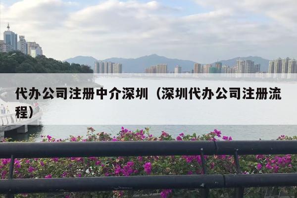 代办公司注册中介深圳（深圳代办公司注册流程）