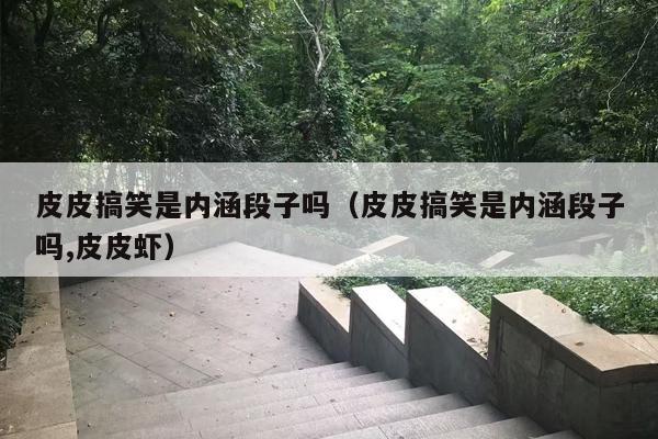 皮皮搞笑是内涵段子吗（皮皮搞笑是内涵段子吗,皮皮虾）