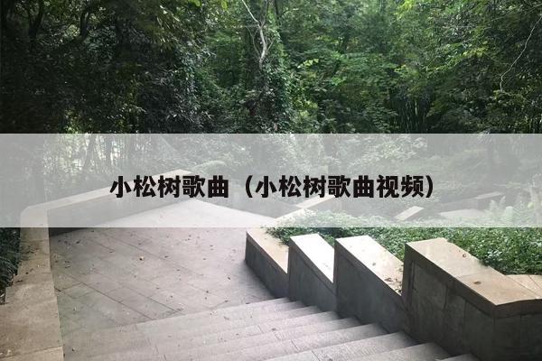 小松树歌曲（小松树歌曲视频）