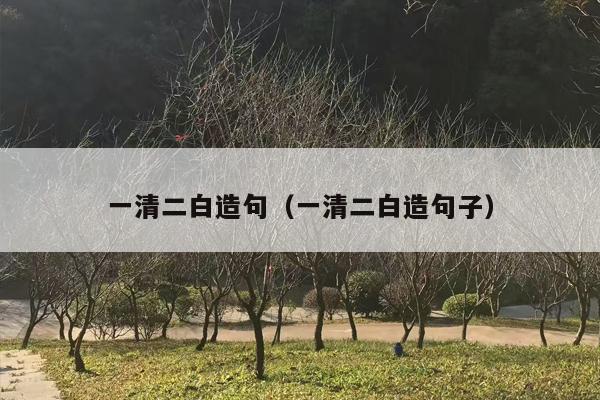 一清二白造句（一清二白造句子）