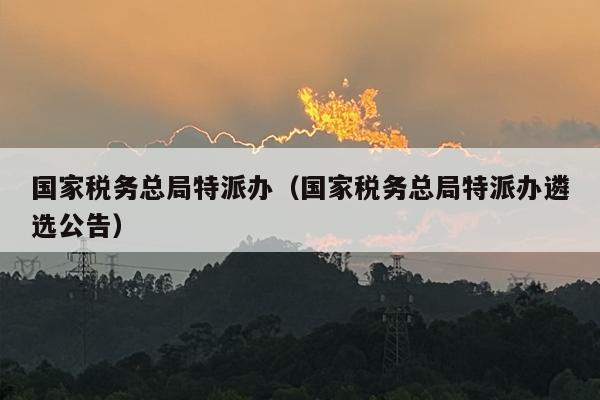 国家税务总局特派办（国家税务总局特派办遴选公告）
