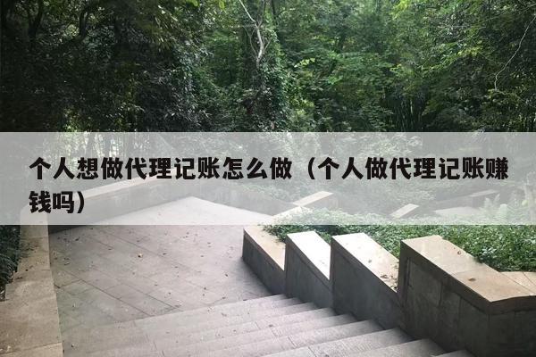 个人想做代理记账怎么做（个人做代理记账赚钱吗）