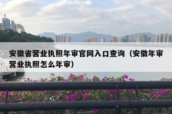 安徽省营业执照年审官网入口查询（安徽年审营业执照怎么年审）