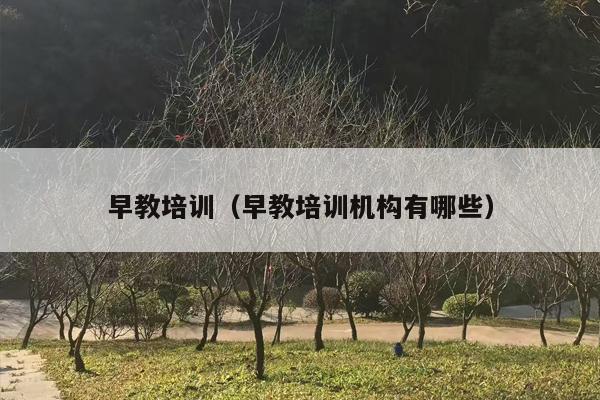 早教培训（早教培训机构有哪些）