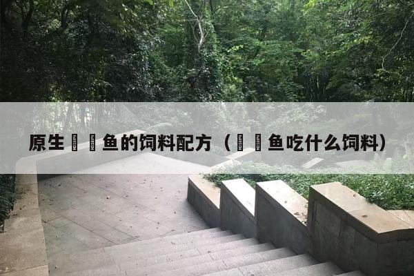 原生鳑鲏鱼的饲料配方（鳑鲏鱼吃什么饲料）