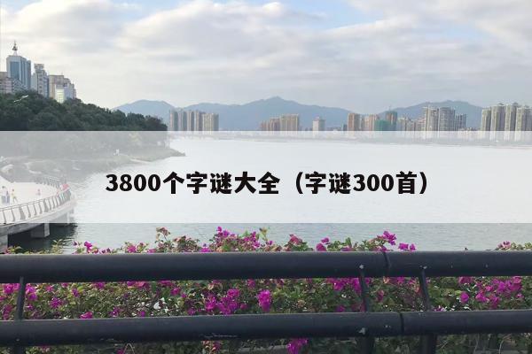 3800个字谜大全（字谜300首）