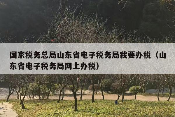 国家税务总局山东省电子税务局我要办税（山东省电子税务局网上办税）