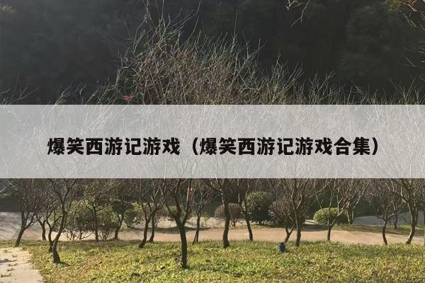 爆笑西游记游戏（爆笑西游记游戏合集）