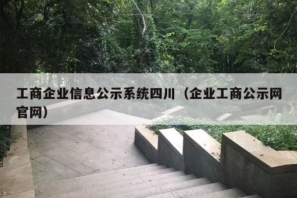 工商企业信息公示系统四川（企业工商公示网官网）
