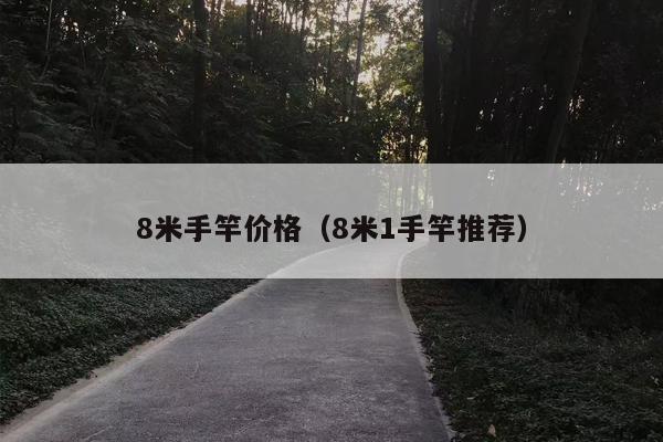 8米手竿价格（8米1手竿推荐）