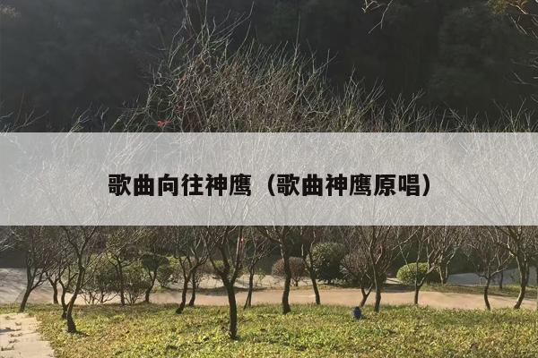 歌曲向往神鹰（歌曲神鹰原唱）