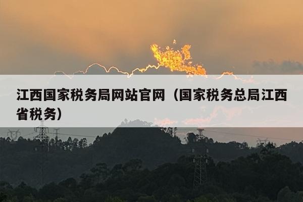江西国家税务局网站官网（国家税务总局江西省税务）