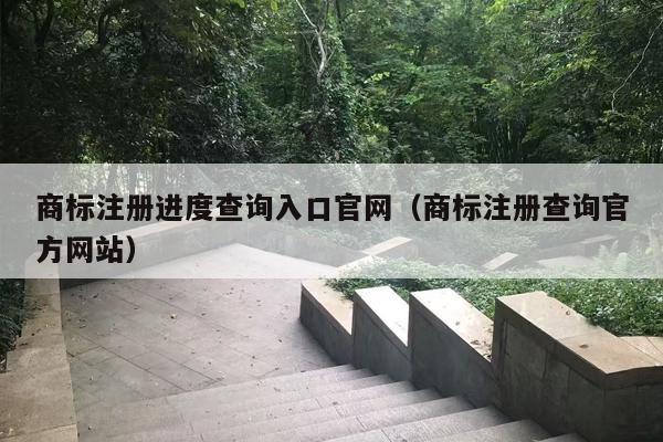 商标注册进度查询入口官网（商标注册查询官方网站）