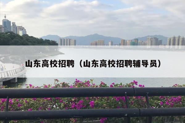 山东高校招聘（山东高校招聘辅导员）