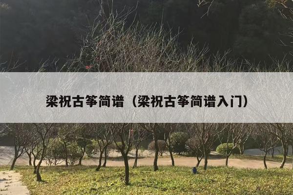 梁祝古筝简谱（梁祝古筝简谱入门）