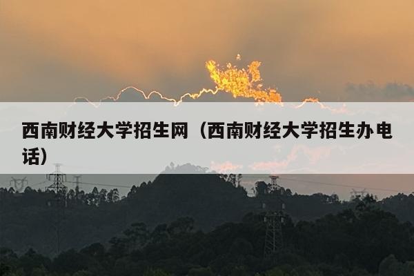 西南财经大学招生网（西南财经大学招生办电话）