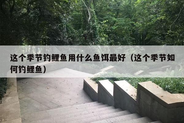 这个季节钓鲤鱼用什么鱼饵最好（这个季节如何钓鲤鱼）