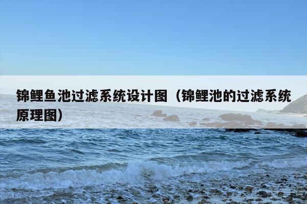 锦鲤鱼池过滤系统设计图（锦鲤池的过滤系统原理图）
