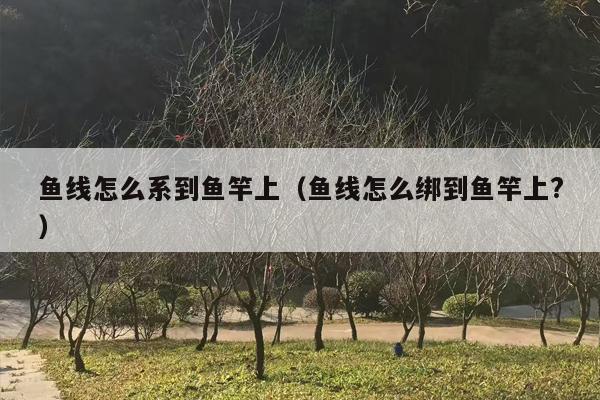 鱼线怎么系到鱼竿上（鱼线怎么绑到鱼竿上?）