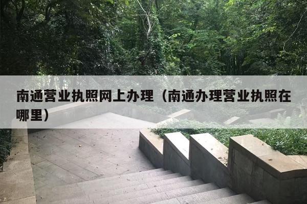 南通营业执照网上办理（南通办理营业执照在哪里）