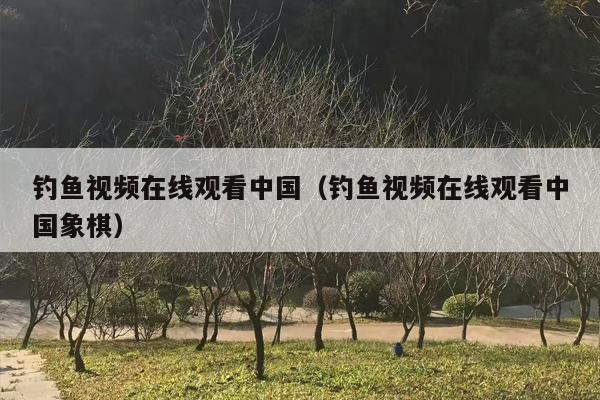 钓鱼视频在线观看中国（钓鱼视频在线观看中国象棋）