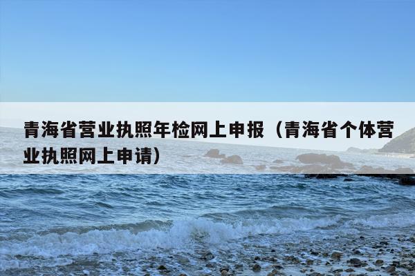 青海省营业执照年检网上申报（青海省个体营业执照网上申请）