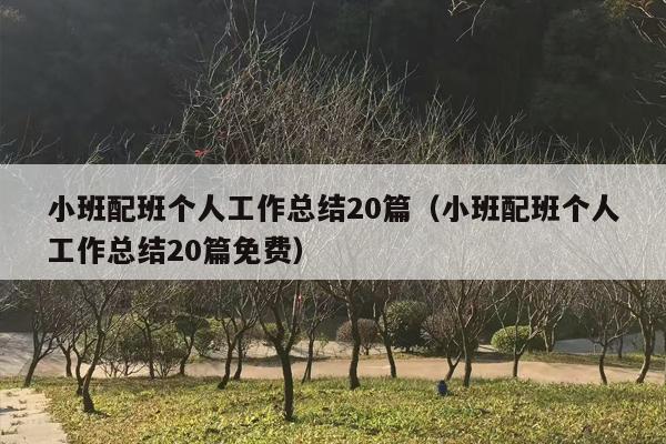 小班配班个人工作总结20篇（小班配班个人工作总结20篇免费）