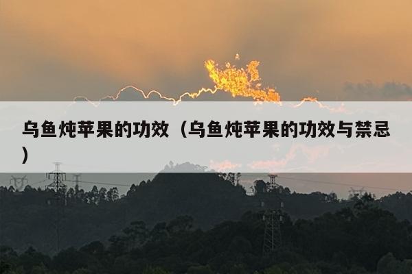 乌鱼炖苹果的功效（乌鱼炖苹果的功效与禁忌）