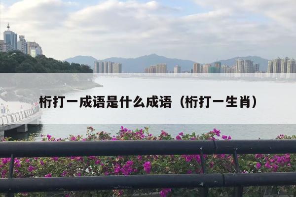 桁打一成语是什么成语（桁打一生肖）