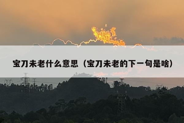 宝刀未老什么意思（宝刀未老的下一句是啥）