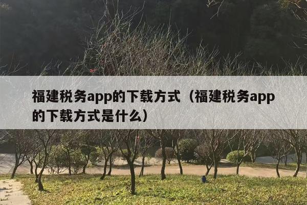 福建税务app的下载方式（福建税务app的下载方式是什么）