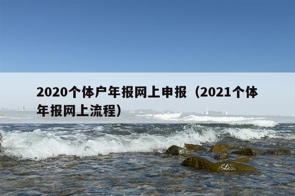 2020个体户年报网上申报（2021个体年报网上流程）