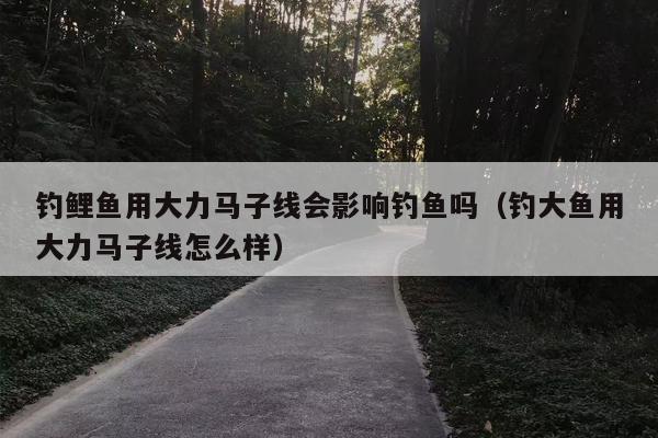 钓鲤鱼用大力马子线会影响钓鱼吗（钓大鱼用大力马子线怎么样）