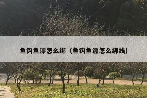鱼钩鱼漂怎么绑（鱼钩鱼漂怎么绑线）