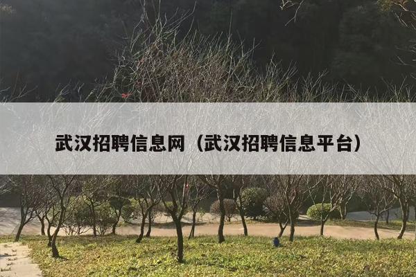 武汉招聘信息网（武汉招聘信息平台）