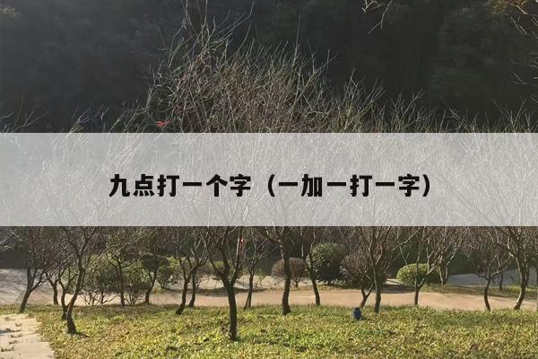 九点打一个字（一加一打一字）