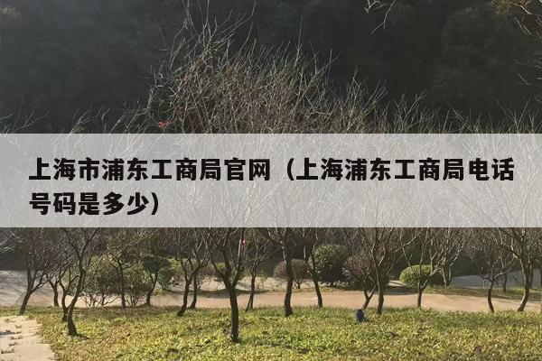 上海市浦东工商局官网（上海浦东工商局电话号码是多少）