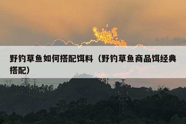 野钓草鱼如何搭配饵料（野钓草鱼商品饵经典搭配）