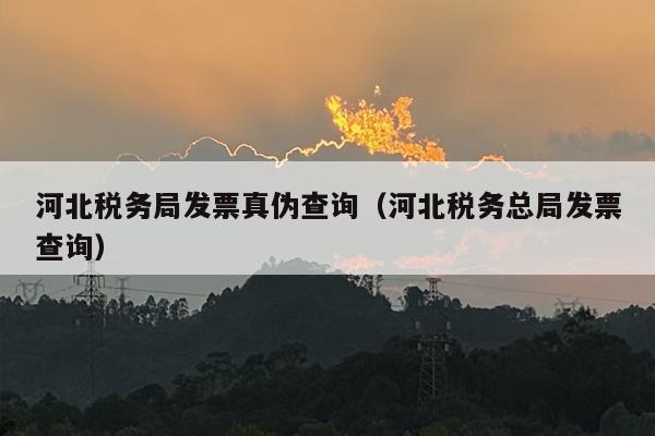 河北税务局发票真伪查询（河北税务总局发票查询）