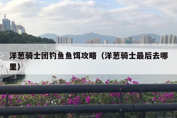 洋葱骑士团钓鱼鱼饵攻略（洋葱骑士最后去哪里）