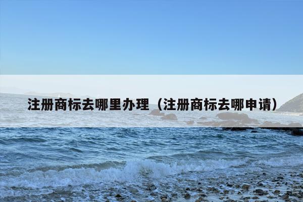 注册商标去哪里办理（注册商标去哪申请）
